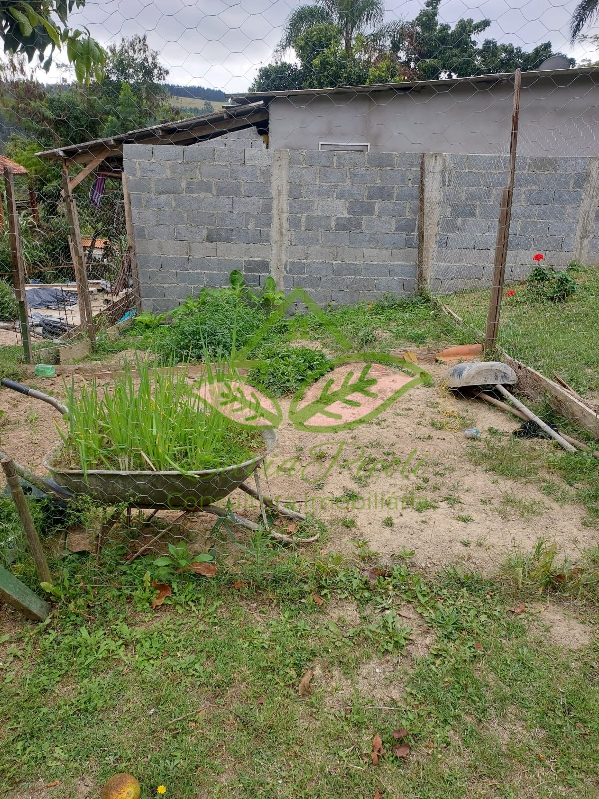 Fazenda à venda com 2 quartos, 50m² - Foto 14