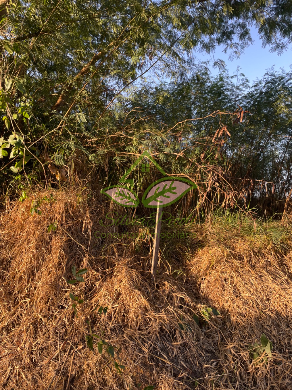 Loteamento e Condomínio, 500 m² - Foto 4